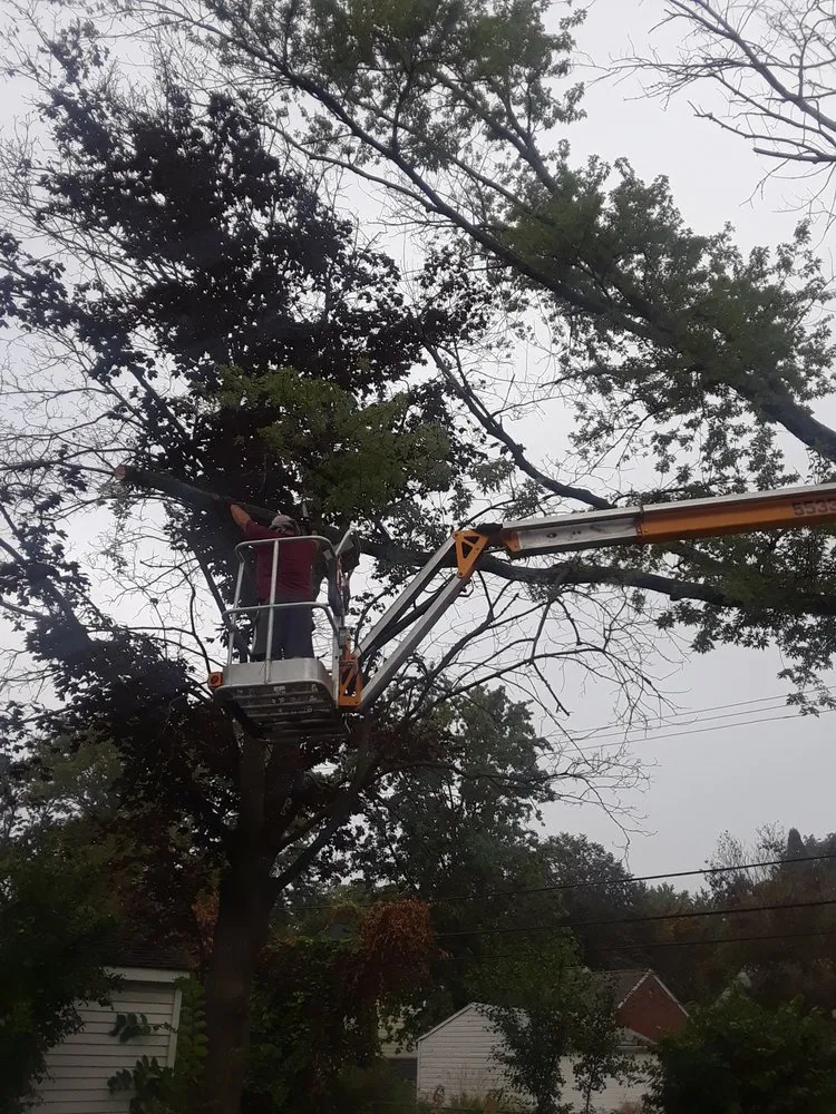 Professional garden landscaping near you across Troy, MI - Treeman Tree Experts