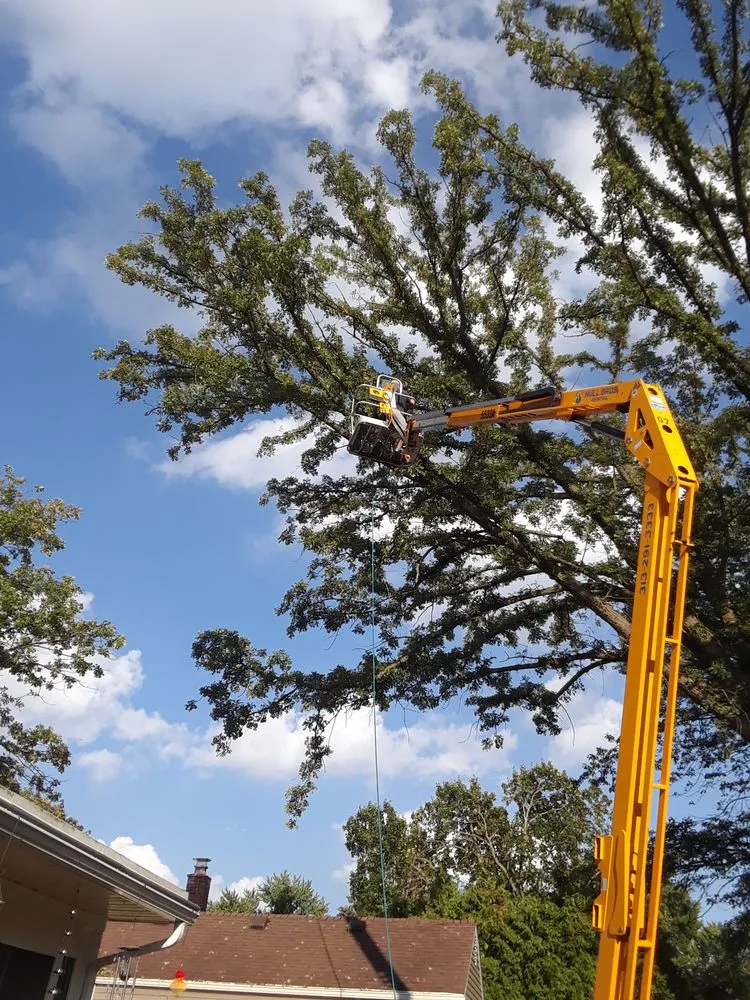 Professional lawn mowing service near you across Troy, MI - Treeman Tree Experts