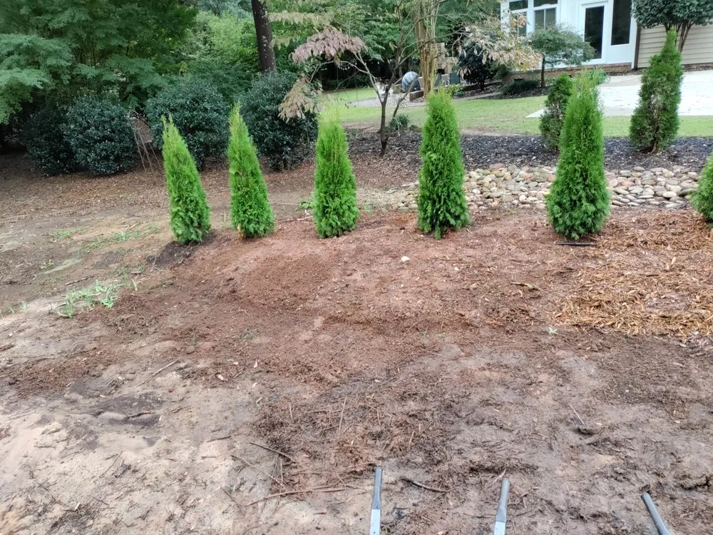 Custom outdoor landscaping in Easley, SC - Treemans Tree Service