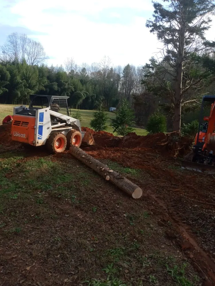 Trusted yard maintenance in Easley, SC by Treemans Tree Service