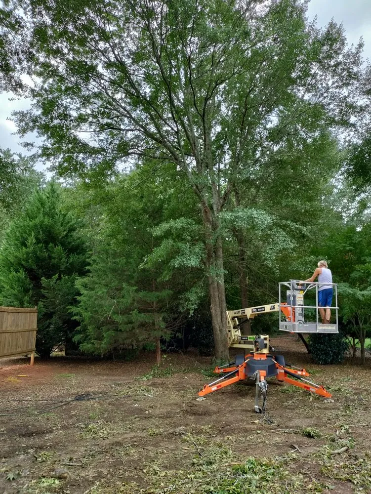 Local residential landscaping experts serving Easley, SC - Treemans Tree Service