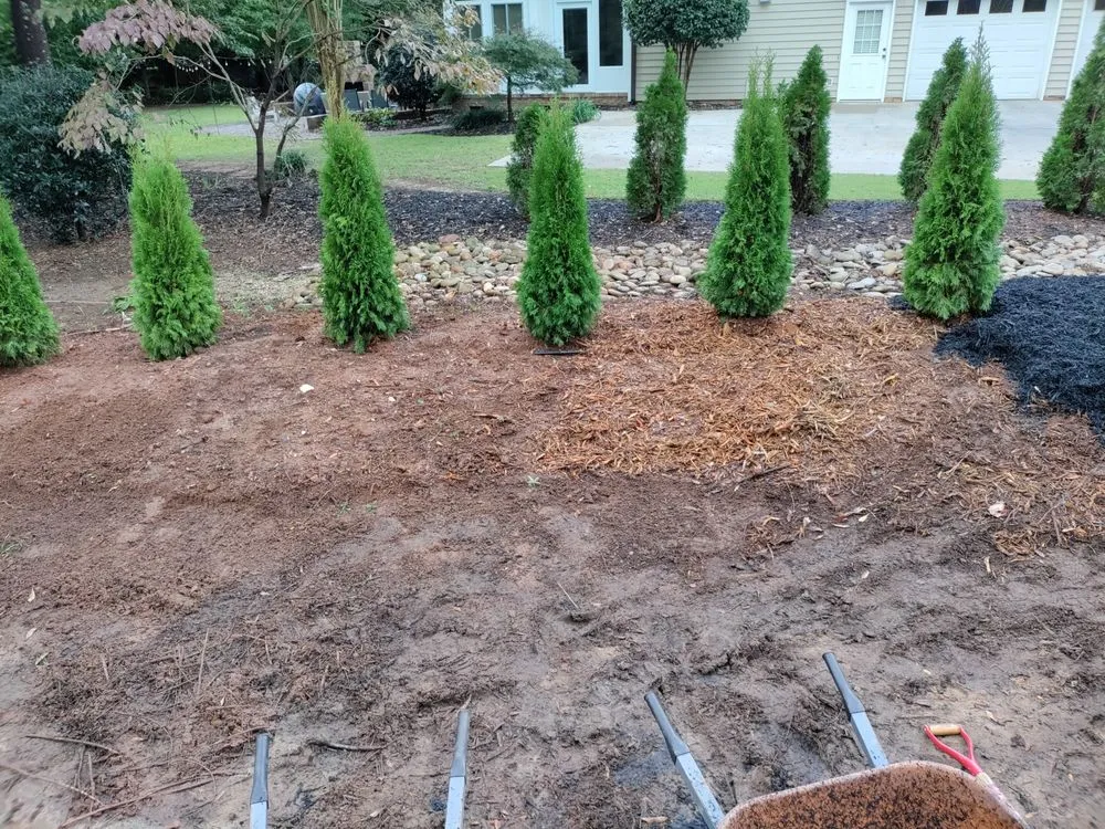 Top-rated lawn care service with custom design in Easley, SC by Treemans Tree Service