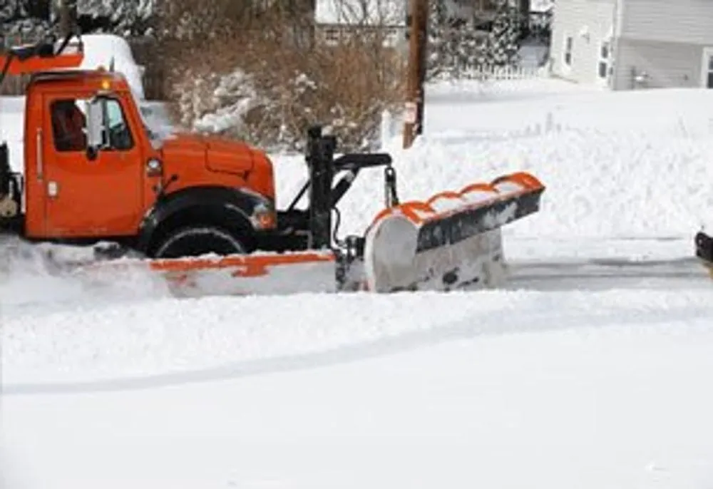 Expert yard cleanup service in Brick, NJ - TreeMasters