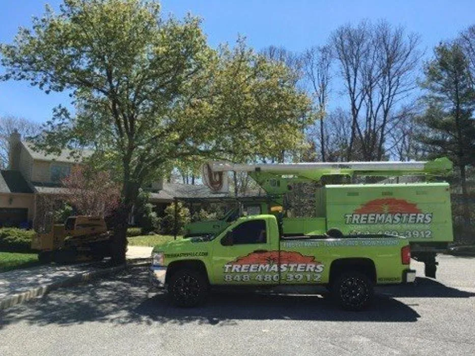 Local landscape design for homes in Brick, NJ by TreeMasters