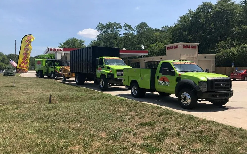 Expert yard cleanup service experts serving Brick, NJ - TreeMasters