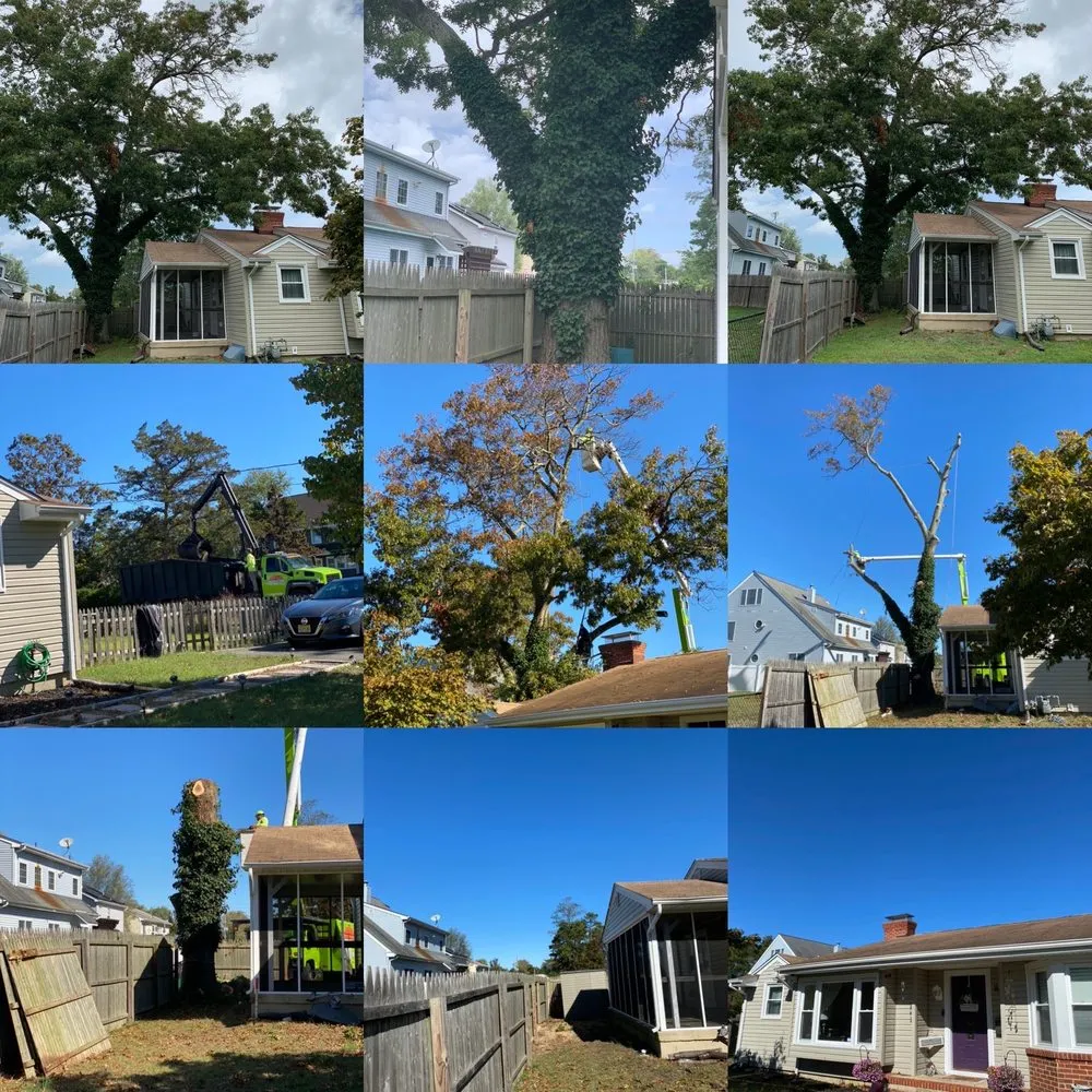 Custom outdoor landscaping for homes in Brick, NJ by TreeMasters