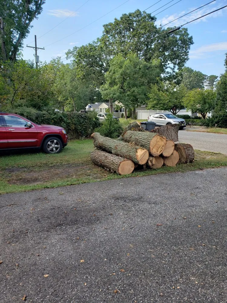 Custom lawn care service with custom design in Brick, NJ by TreeMasters