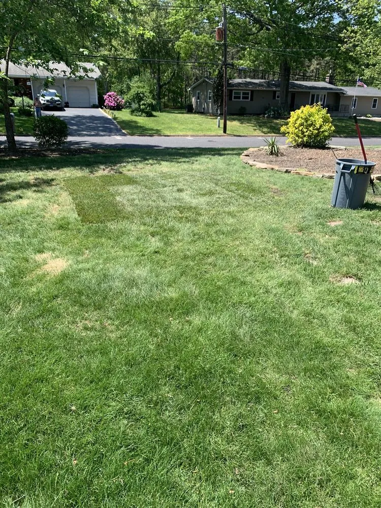 Local landscape design for outdoor upgrades across Brick, NJ - TreeMasters