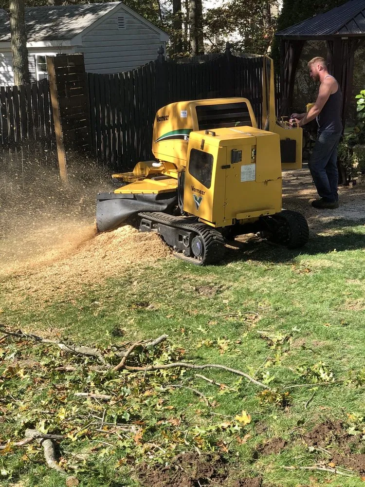 Top-rated yard cleanup service for outdoor upgrades across Brick, NJ - TreeMasters