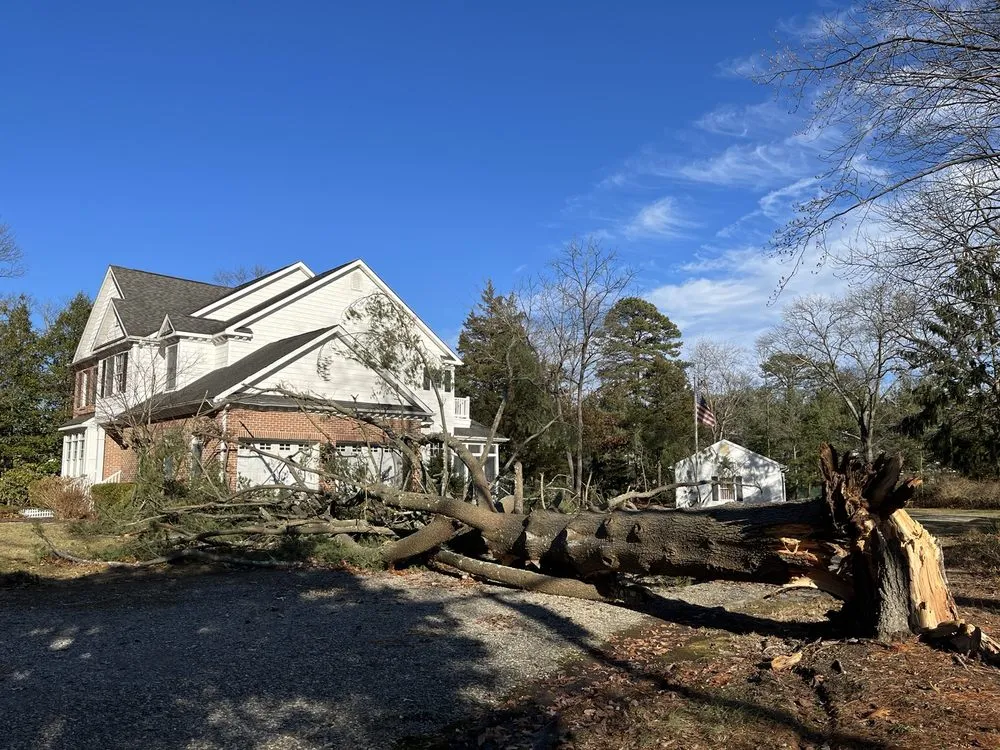 Custom garden landscaping in Brick, NJ - TreeMasters