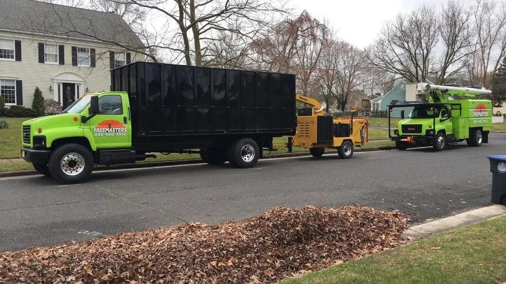Local yard maintenance in Brick, NJ by TreeMasters