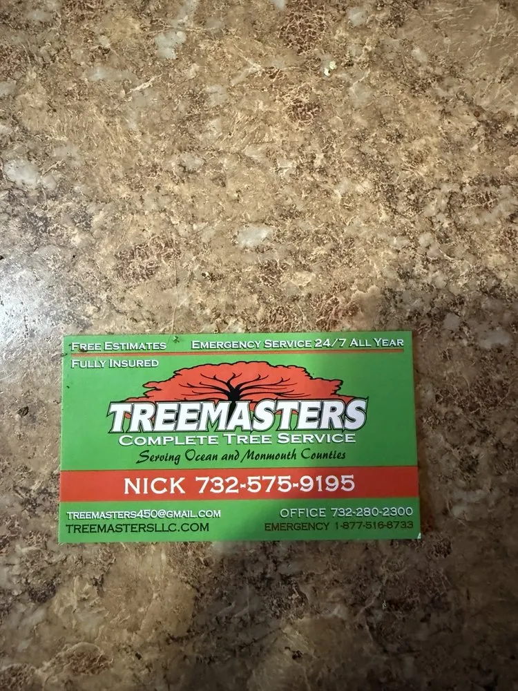 Trusted yard cleanup service in Brick, NJ by TreeMasters