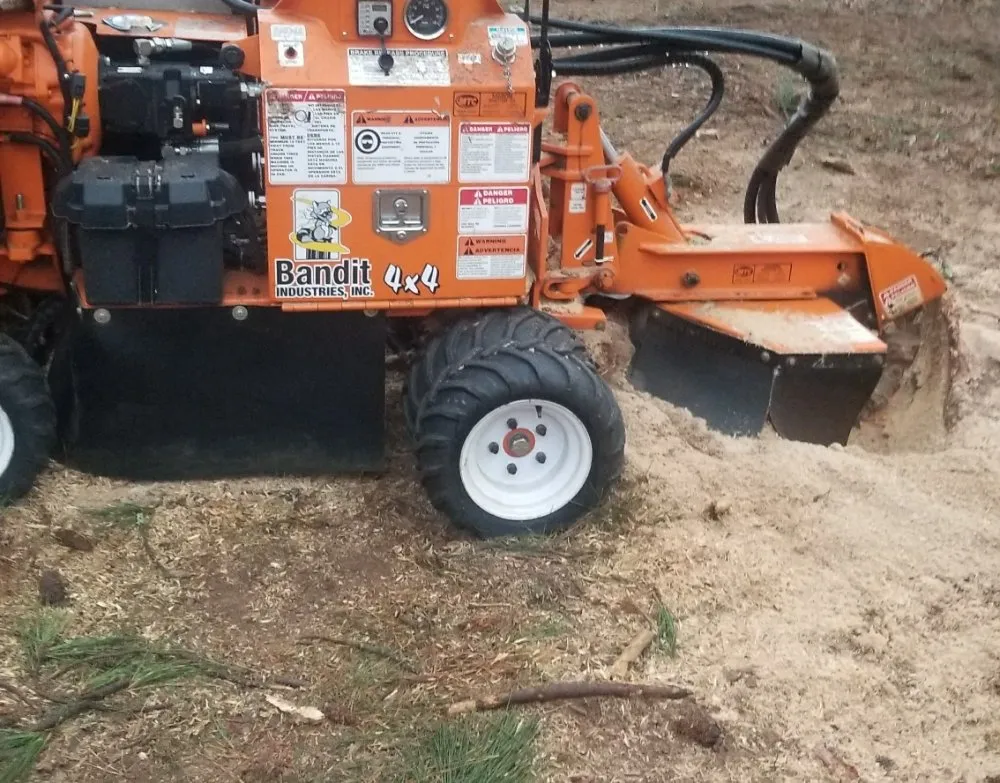 Expert residential landscaping experts serving Gainesville, GA - TreeMax Expert Tree Service