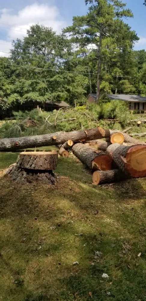 Affordable yard maintenance in Gainesville, GA - TreeMax Expert Tree Service