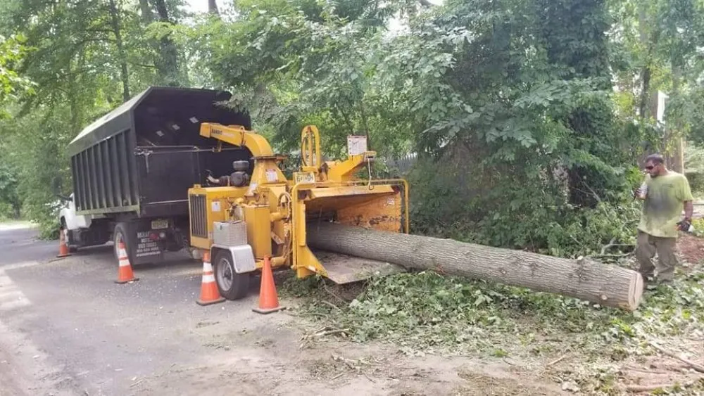 Reliable landscape installation for residential properties across Gainesville, GA - TreeMax Expert Tree Service