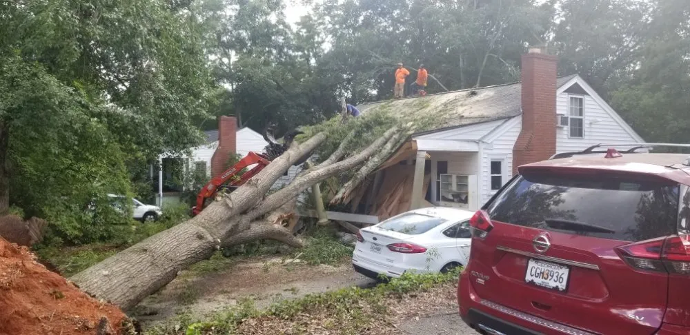 Reliable landscaping services in Gainesville, GA by TreeMax Expert Tree Service