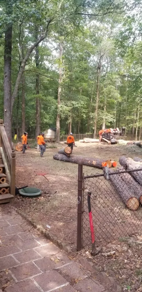 Custom outdoor landscaping in Gainesville, GA - TreeMax Expert Tree Service