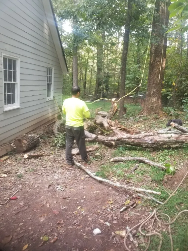 Local lawn mowing service in Gainesville, GA - TreeMax Expert Tree Service