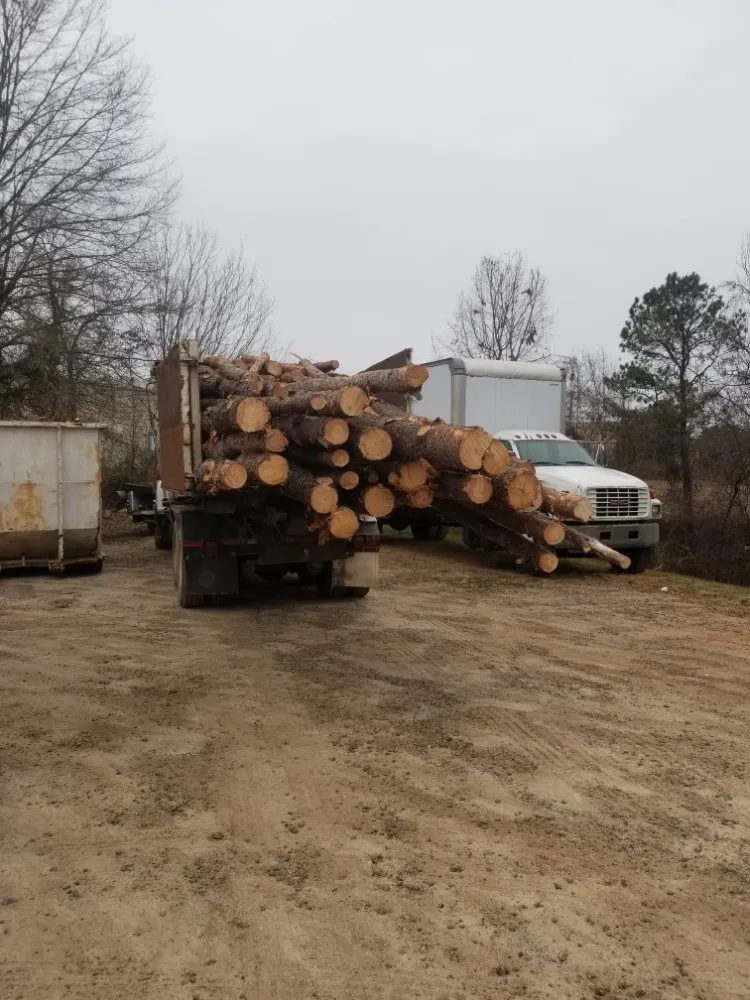 Professional landscaping services in Gainesville, GA - TreeMax Expert Tree Service