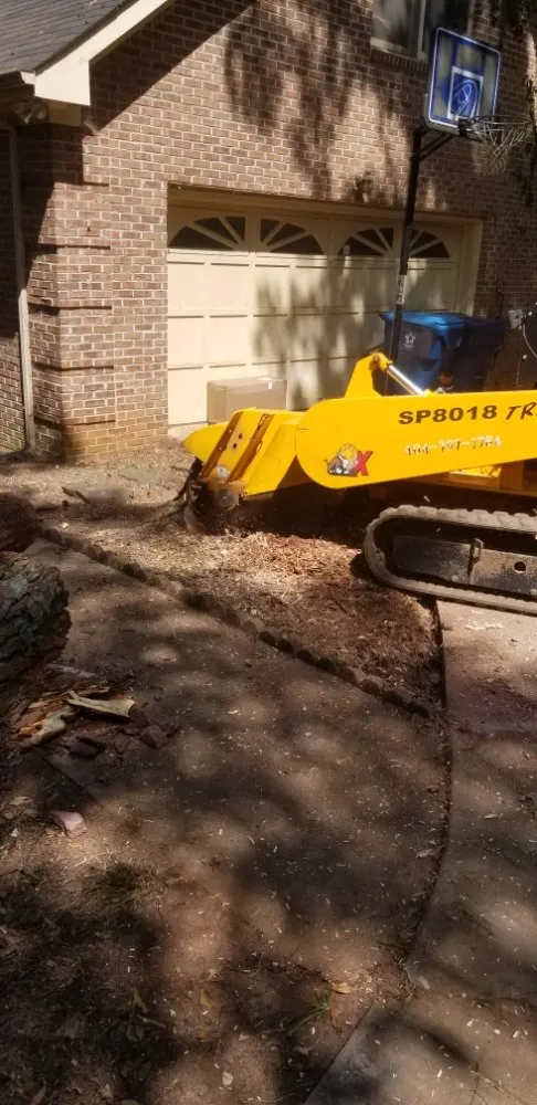 Affordable garden landscaping for outdoor upgrades across Gainesville, GA - TreeMax Expert Tree Service