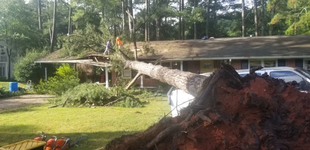 Reliable landscape installation experts serving Gainesville, GA - TreeMax Expert Tree Service