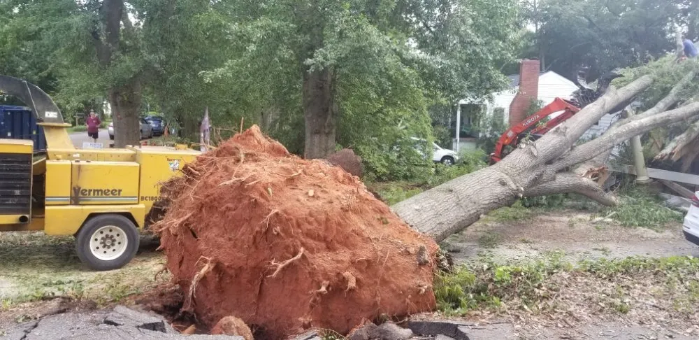 Local residential landscaping for homes across Gainesville, GA - TreeMax Expert Tree Service