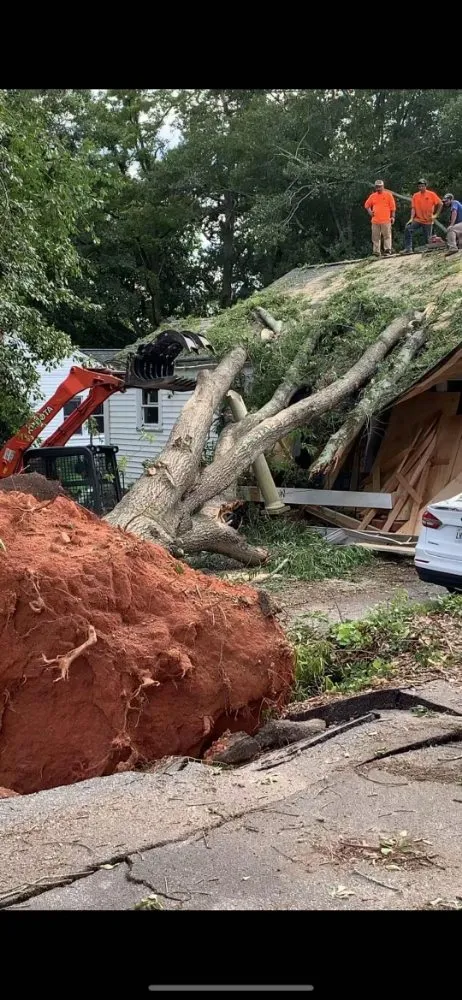 Reliable landscaping services experts serving Gainesville, GA - TreeMax Expert Tree Service