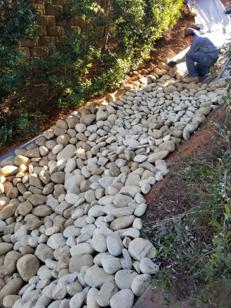 Top-rated landscaping services in Gainesville, GA by TreeMax Expert Tree Service