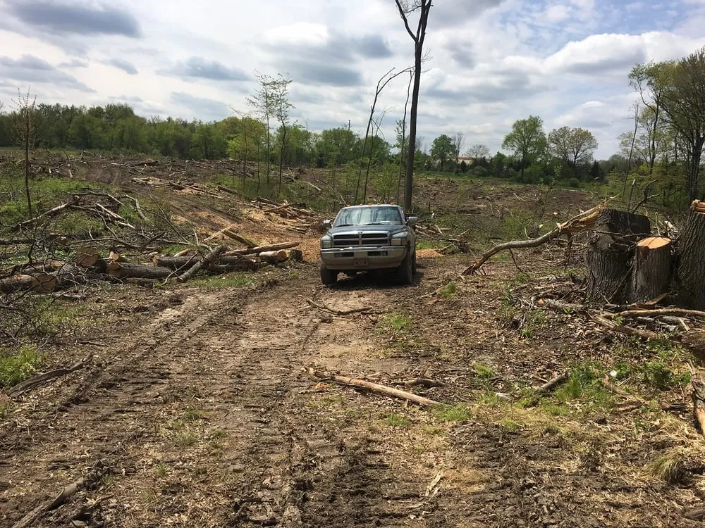Custom yard cleanup service in Novi, MI - Treemendous Forestry