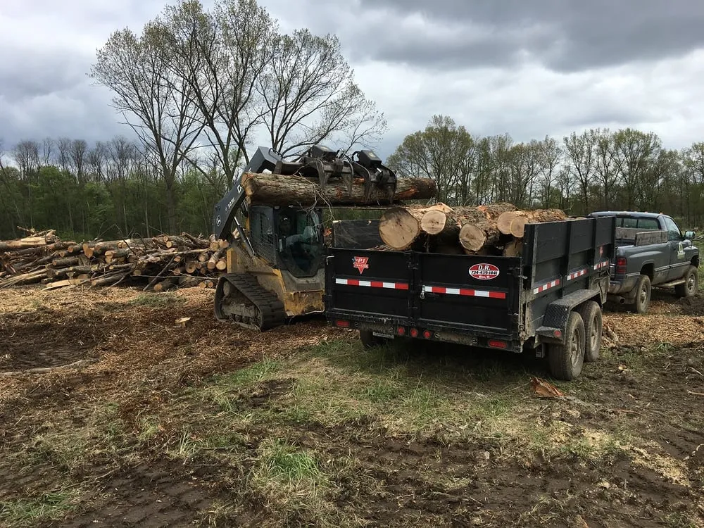 Custom yard maintenance for beautiful yards across Novi, MI - Treemendous Forestry