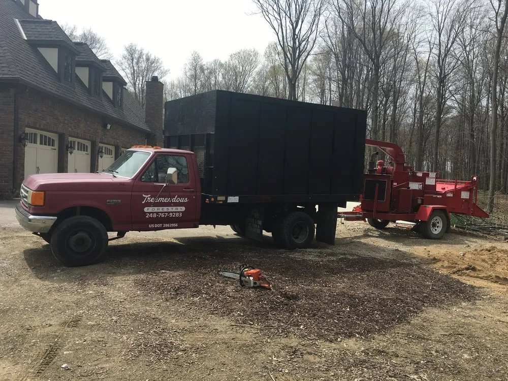 Local outdoor landscaping in Novi, MI - Treemendous Forestry