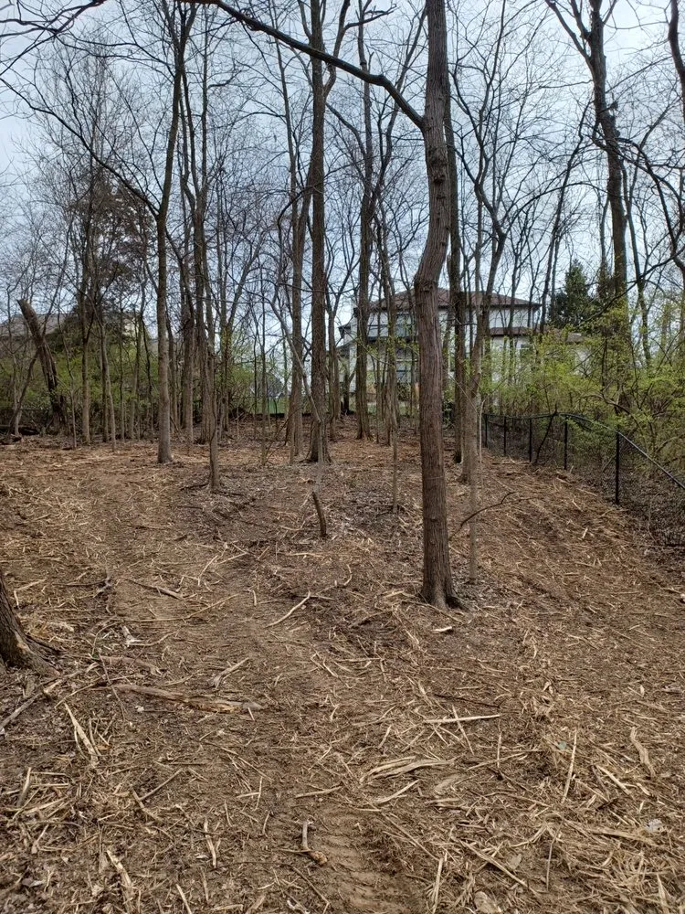 Local lawn care service in Indianapolis, IN by Treemendous Tree & Landscape