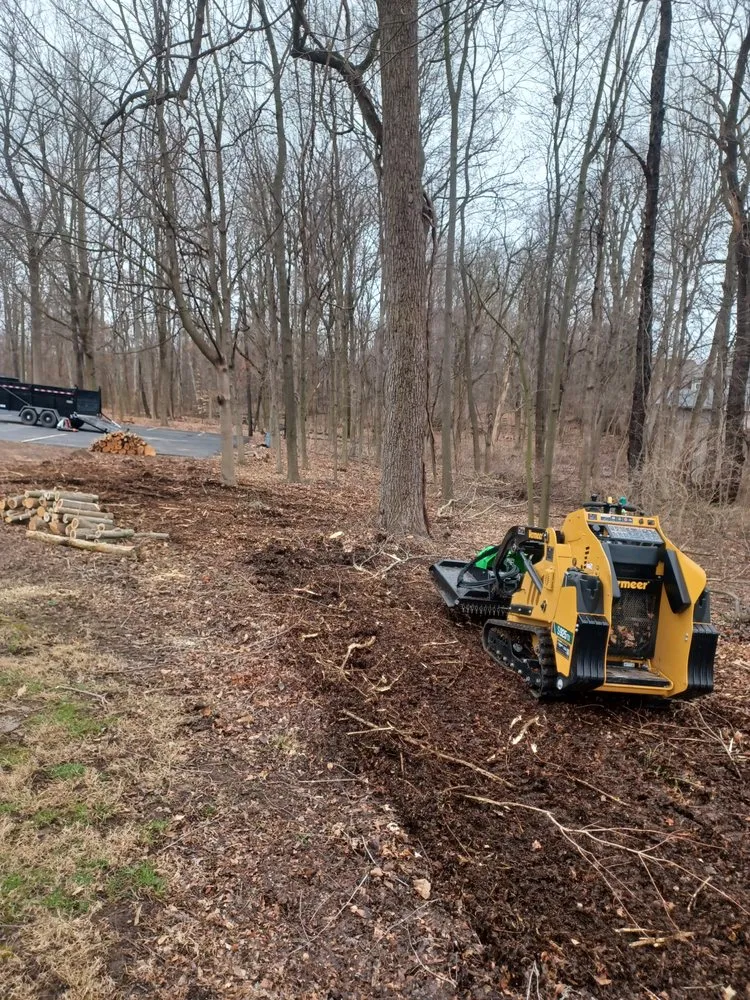 Affordable yard cleanup service in Indianapolis, IN by Treemendous Tree & Landscape