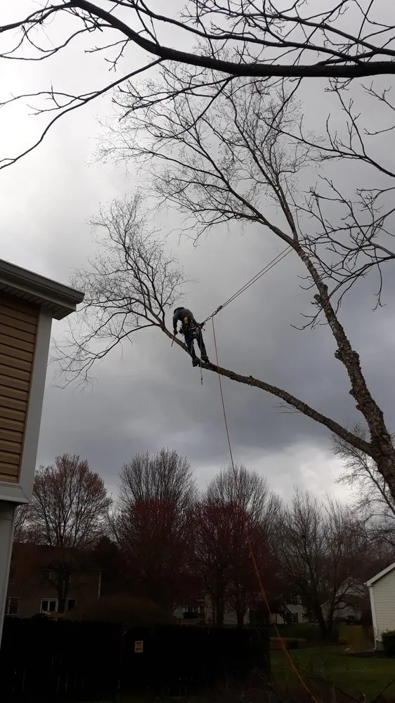 Reliable garden landscaping in Indianapolis, IN - Treemendous Tree & Landscape