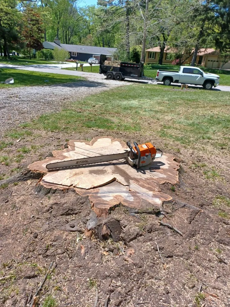 Top-rated landscaping services for year-round maintenance in Indianapolis, IN by Treemendous Tree & Landscape