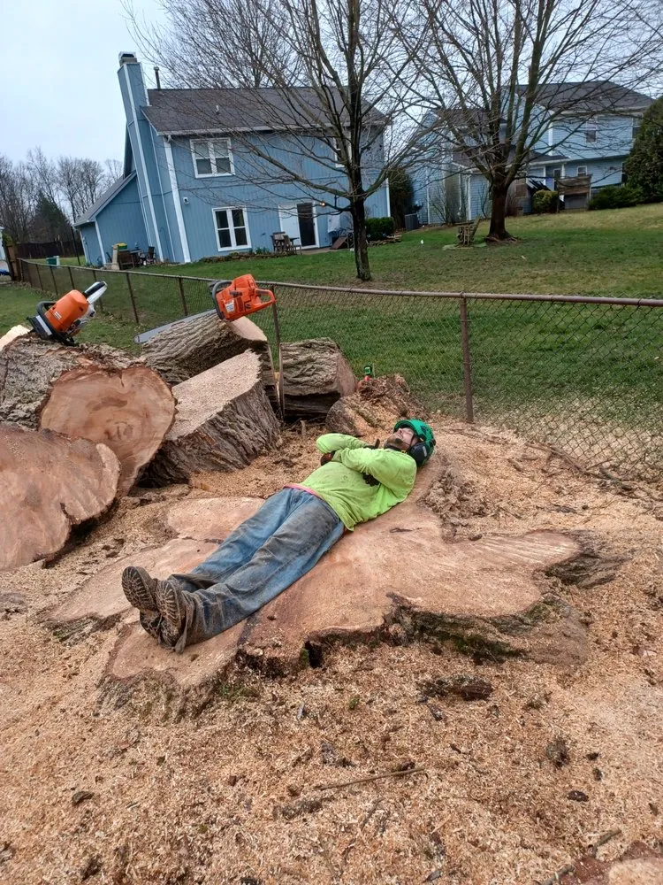 Affordable lawn mowing service in Indianapolis, IN by Treemendous Tree & Landscape