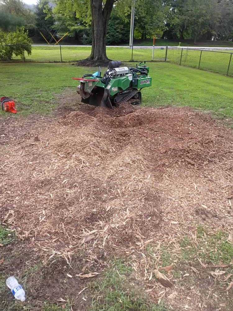 Expert garden landscaping for outdoor upgrades across Indianapolis, IN - Treemendous Tree & Landscape