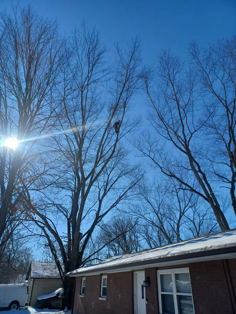 Reliable outdoor landscaping for year-round maintenance across Indianapolis, IN - Treemendous Tree & Landscape