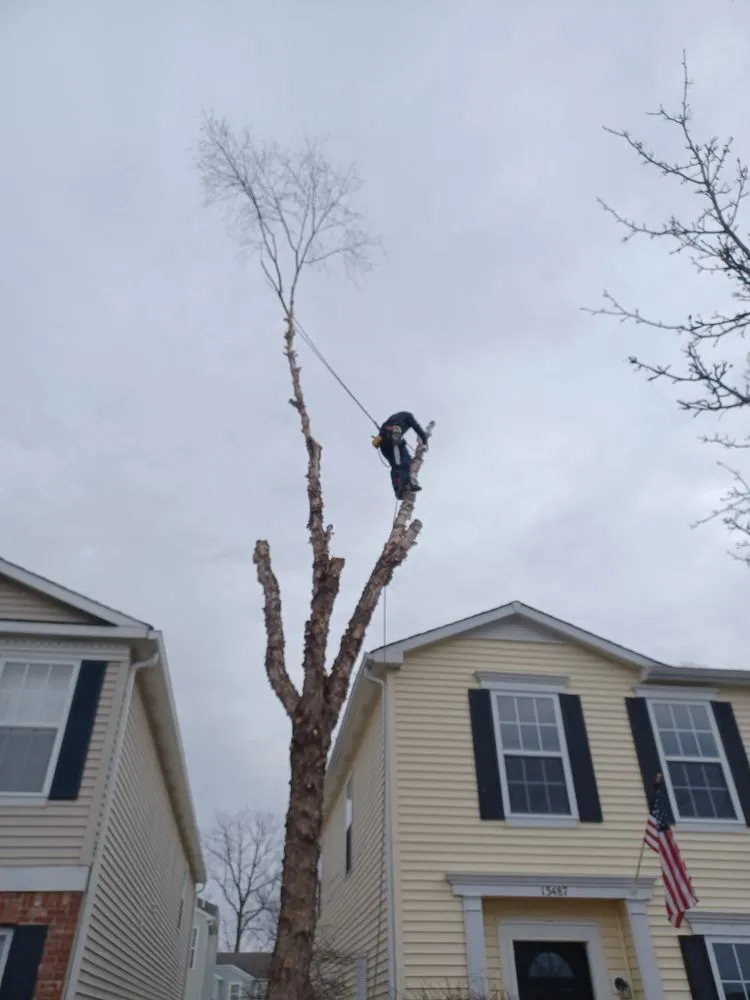 Local residential landscaping in Indianapolis, IN - Treemendous Tree & Landscape