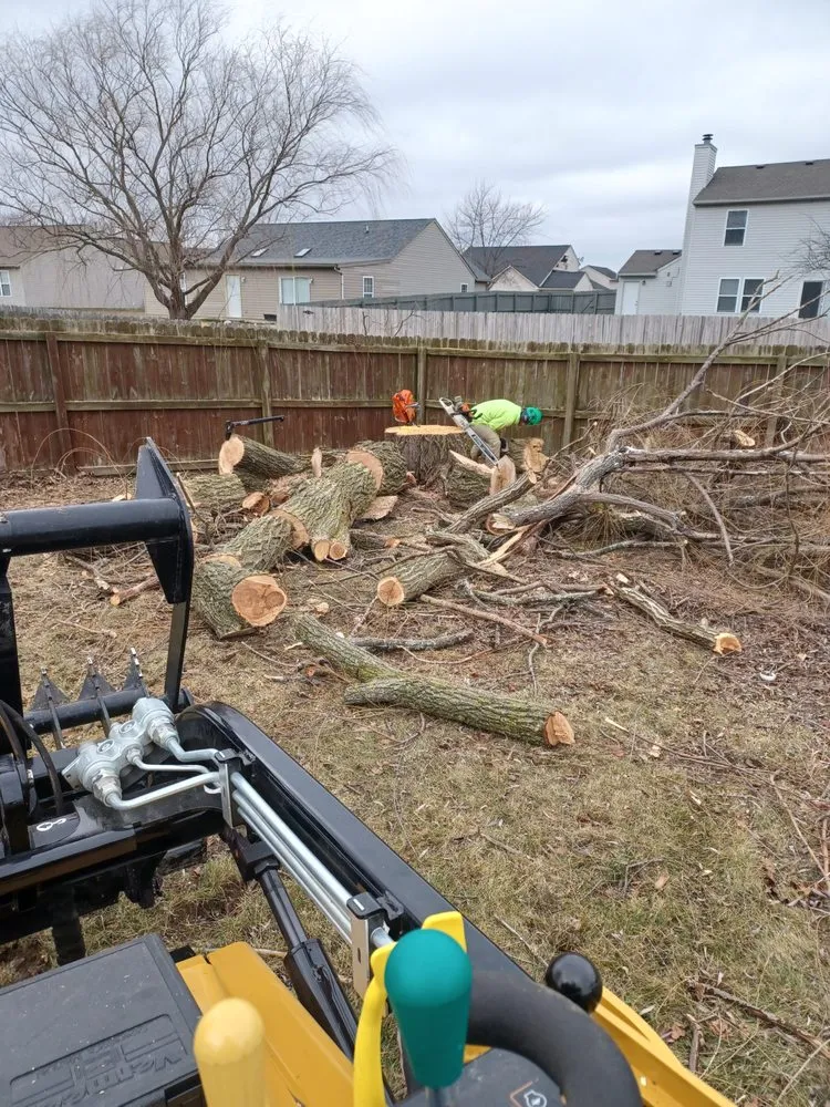 Local lawn mowing service for homes in Indianapolis, IN by Treemendous Tree & Landscape