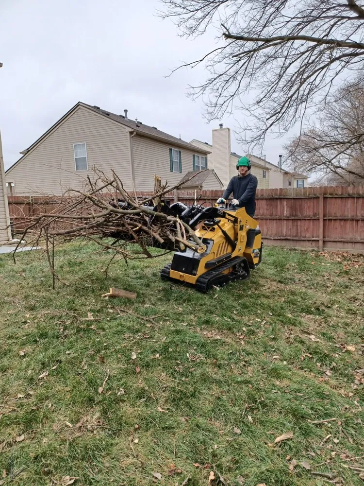 Professional residential landscaping for residential properties in Indianapolis, IN by Treemendous Tree & Landscape