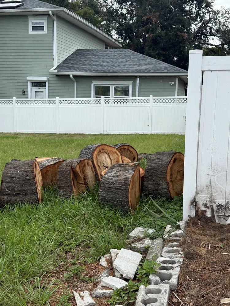 Trusted lawn care service in St. Petersburg, FL by Treeology Tree Service