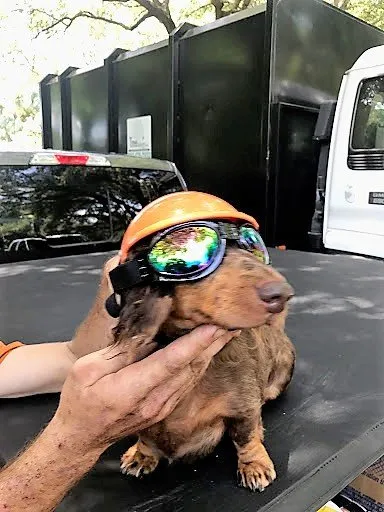 Custom landscape design experts serving St. Petersburg, FL - Treeology Tree Service