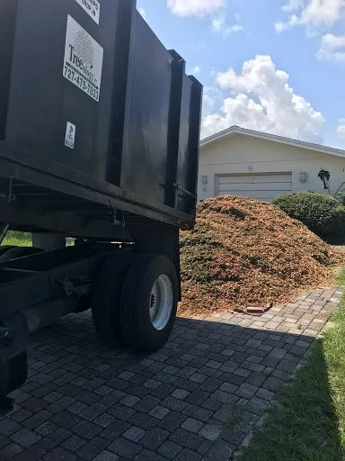 Expert lawn care service in St. Petersburg, FL by Treeology Tree Service