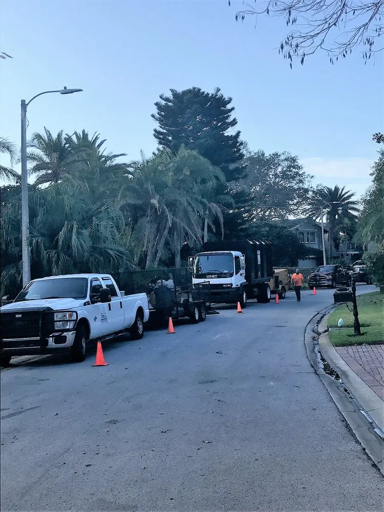 Expert landscaping services in St. Petersburg, FL by Treeology Tree Service