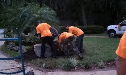 Expert landscape design experts serving St. Petersburg, FL - Treeology Tree Service