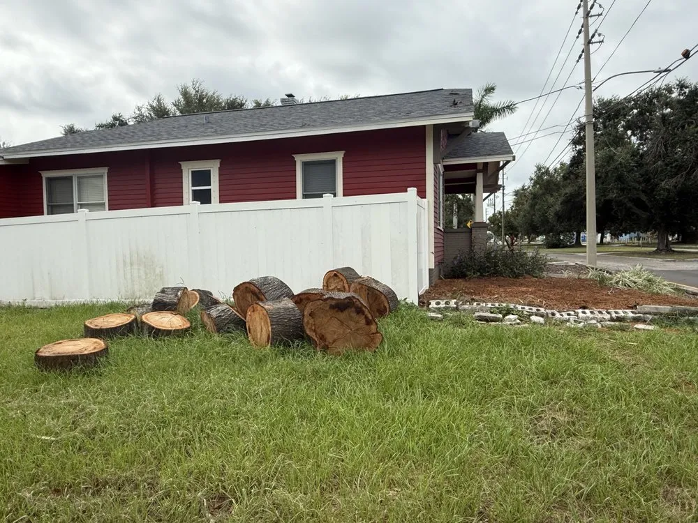 Top-rated landscaping services for outdoor upgrades across St. Petersburg, FL - Treeology Tree Service