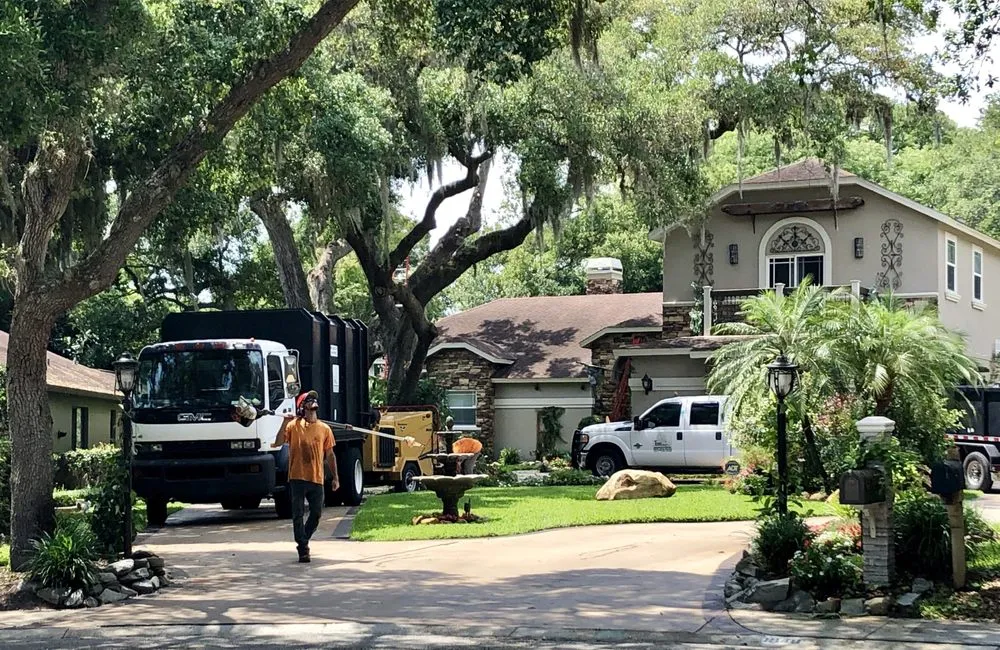 Trusted lawn care service for year-round maintenance in St. Petersburg, FL by Treeology Tree Service