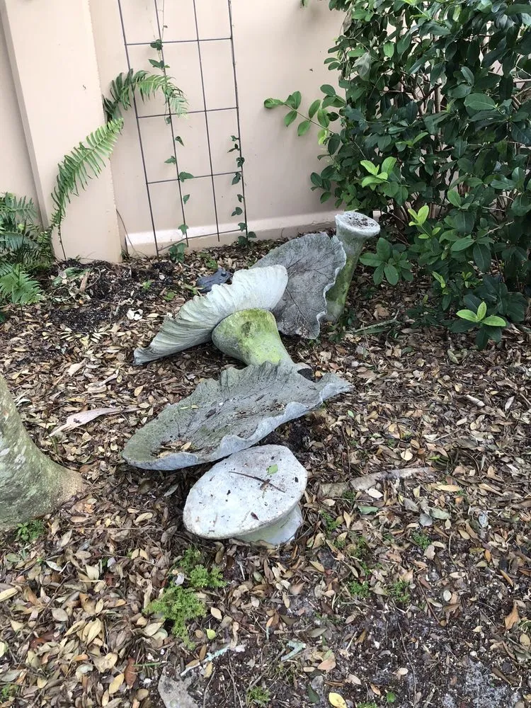 Affordable yard maintenance for residential properties in St. Petersburg, FL by Treeology Tree Service