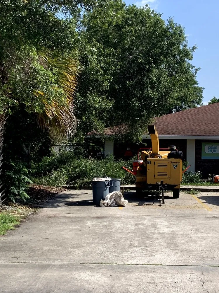 Reliable outdoor landscaping near you in St. Petersburg, FL by Treeology Tree Service